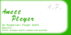 anett pleyer business card